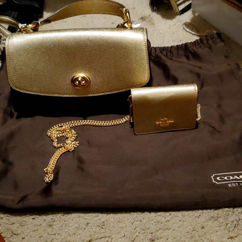Brand new cross body and small chain cross body